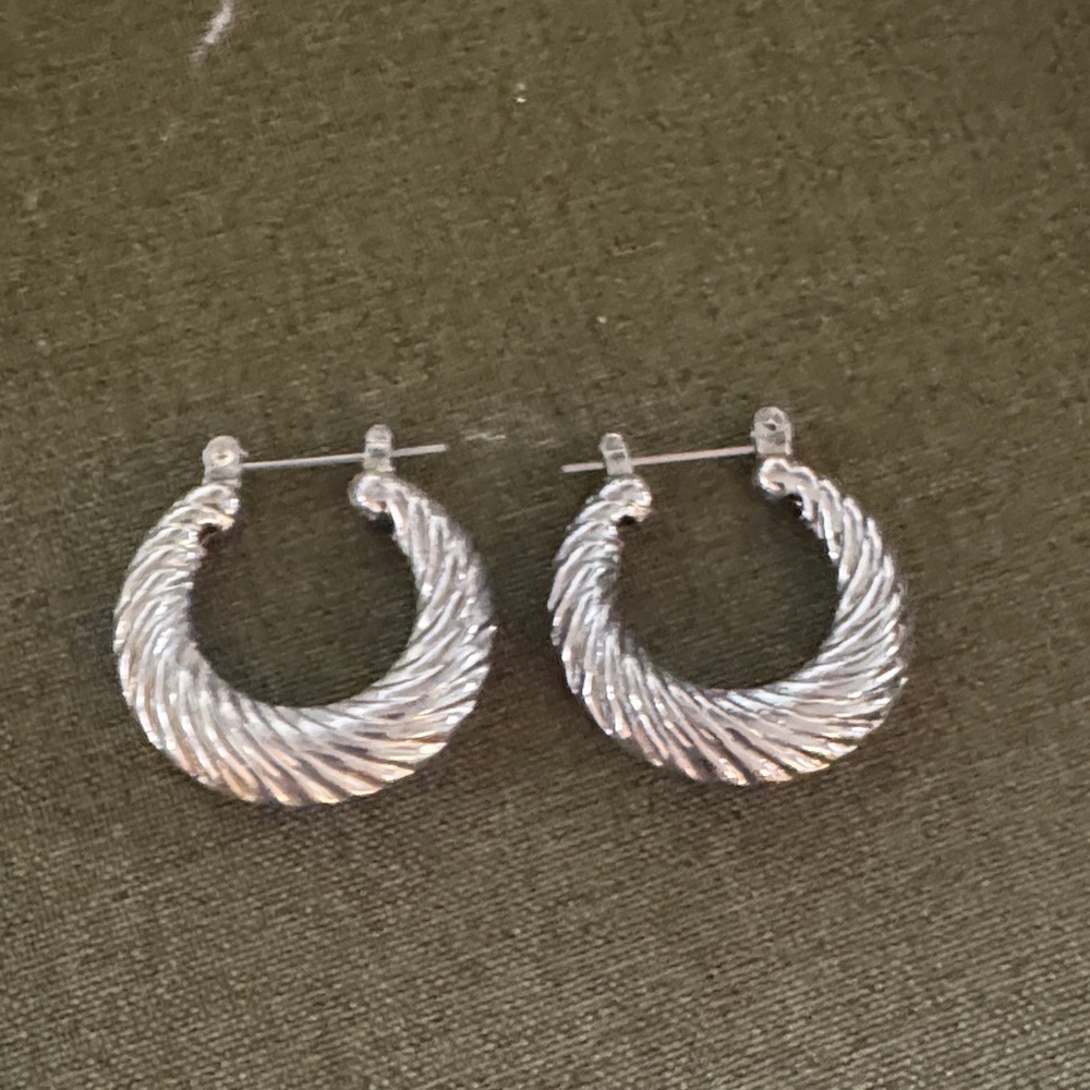 Elegant Silver Hoop Earrings